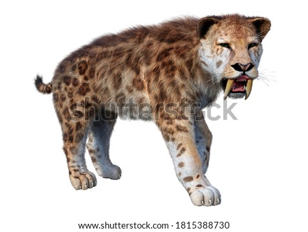 3D rendering of a sabertooth tiger isolated on white background