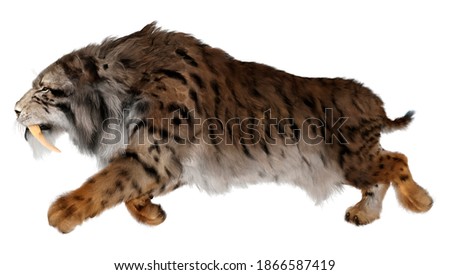 3D rendering of a sabertooth tiger isolated on white background