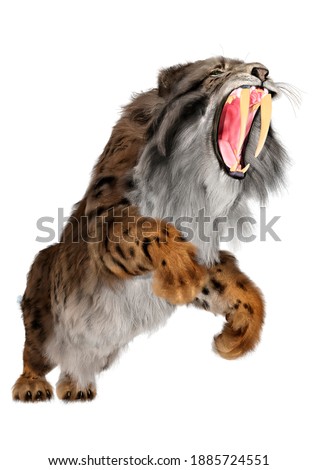 3D rendering of a sabertooth tiger isolated on white background