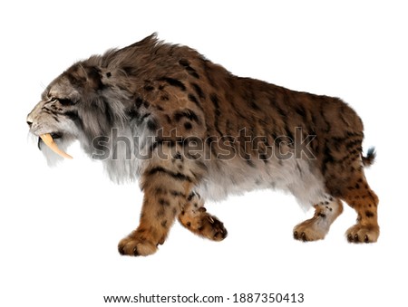 3D rendering of a sabertooth tiger isolated on white background