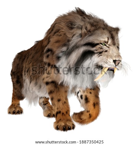 3D rendering of a sabertooth tiger isolated on white background