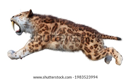 3D rendering of a sabertooth tiger isolated on white background