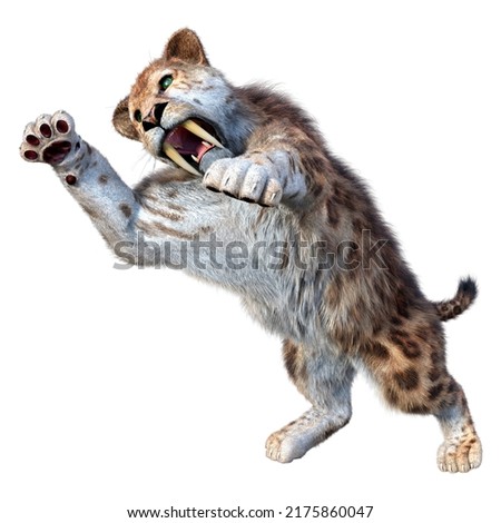 3D rendering of a sabertooth tiger isolated on white background