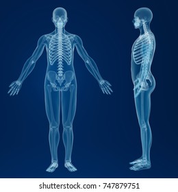 3d Rendering - Scan Of An Human Body 