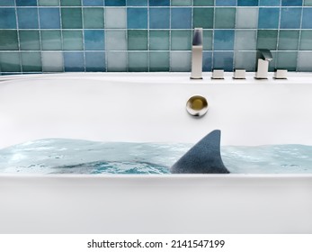 3D Rendering Of Shark Submerged In Buthtub Water With Fin Sticking Out Above The Water Surface