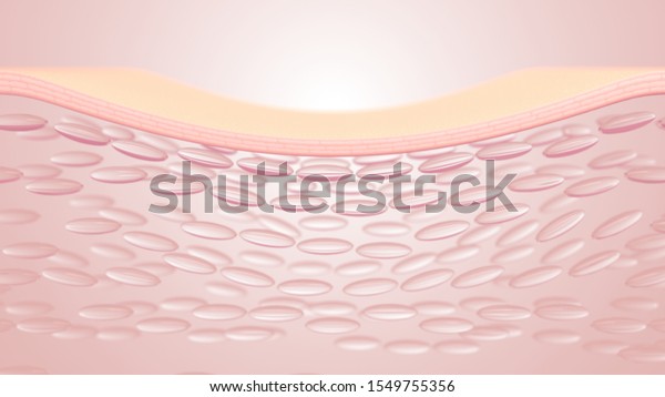 3D\
rendering The skin structure layer\
Microstructure\
