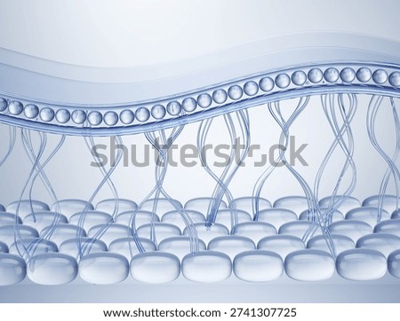 3D rendering of skin structure showing epidermis and dermis layers with collagen fibers, skin cell repair for cosmetic advertising.