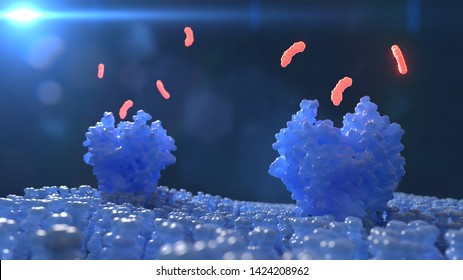 3D rendering of small molecules binding to a cell membrane receptors