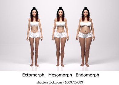 3D Rendering : standing female body type illustration : ectomorph (skinny type), mesomorph (muscular type), 
endomorph(heavy weight type), Front View