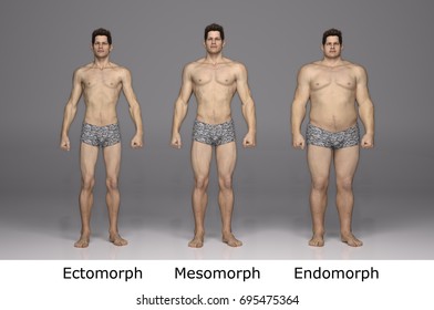 3D Rendering : standing male body type illustration: ectomorph (skinny type), mesomorph (muscular type), endomorph(heavy weight type) : Front Side
