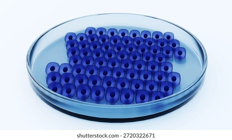 A 3d rendering of stem cell colony being cultivated within a petri dish, which is a fundamental tool in regenerative medicine and biotechnology.