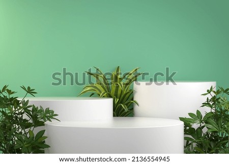 3d Rendering Step White Podium Display, Tropical Plant Concept Illustration Background