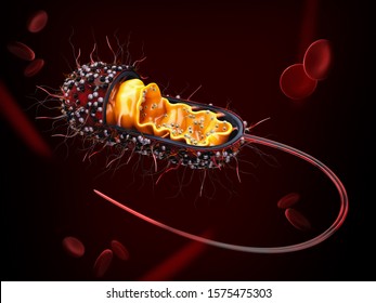 3d Rendering of Structure of a bacterial cell, clipping path included