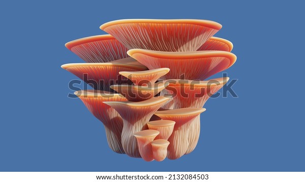 3D rendering of a stylized bouquet cluster of\
pink oyster mushrooms