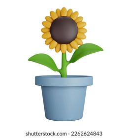 3D Rendering Sunflower With Gray Pot Isolated