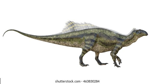 Tenontosaurus Profile Tenontosaurus Ornithopod Herbivorous Dinosaur ...