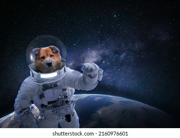 3D Rendering ,The Cosmonaut Dog Dressed In A Space Suit , Dog Astronaut In A Space Suit With A Helmet Travels On Mars. Space Journey Concept