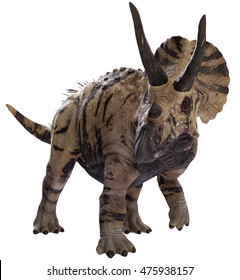 3D Rendering Of Triceratops Horridus.