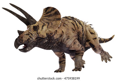 3D Rendering Of Triceratops Horridus.