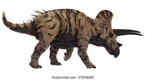 3D Rendering Of Triceratops Horridus.