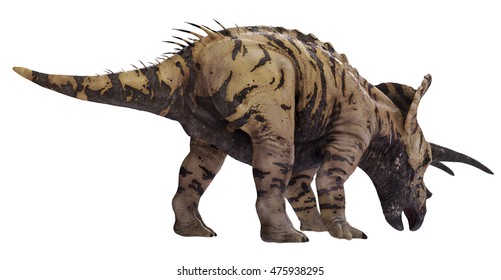 3D Rendering Of Triceratops Horridus.