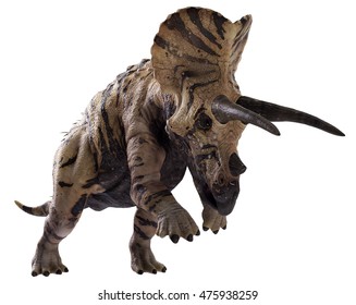 3d Rendering Triceratops Horridus Hell Creek Stock Illustration ...