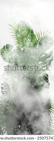 3D rendering of tropical leaves and monstera plant behind white glass, surrounded by white smoke