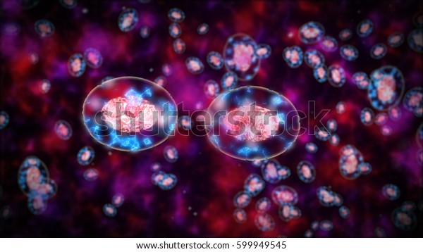 3d rendering of Two cells had\
been divided by osmosis, in the background other\
cells.