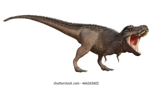 3D Rendering Of Tyrannosaurus Rex.