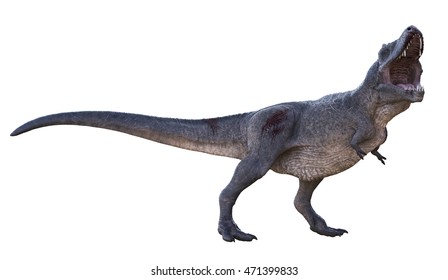 3D Rendering Of Tyrannosaurus Rex.