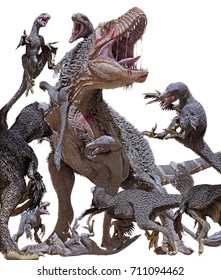 3D Rendering Of A Tyrannosaurus Rex Getting Swarmed By A Pack Of Dakotaraptors Isolated On A White Background.