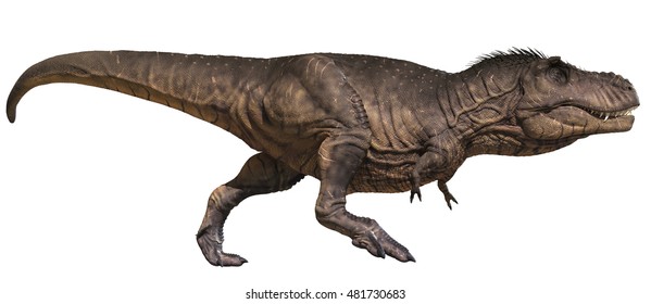 3D Rendering Of Tyrannosaurus Rex Running.