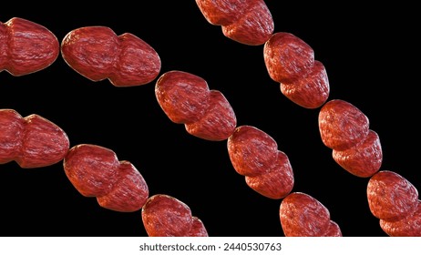 3d rendering of Vancomycin-resistant Enterococcus (VRE) Enterococcus faecalis is a type of bacteria that is resistant to vancomycin