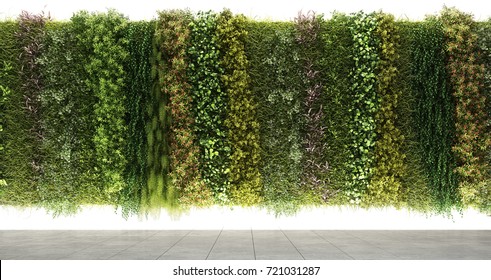 3d Rendering Of Vertical Garden Wall