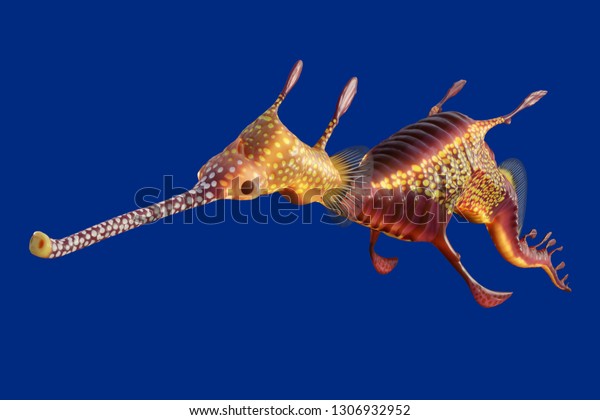 3d rendering of a Weedy seadragon, the ocean\
creature at Australia and Tasmania island, isolated on blue\
background with clipping\
paths.