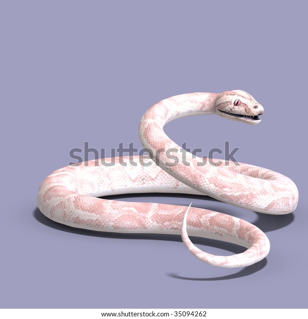 3d Rendering White Ball Python Clipping 스톡 일러스트 35094262 | Shutterstock