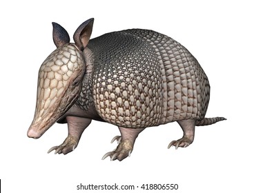 3D rendering of a wild armadillo isolated on white background