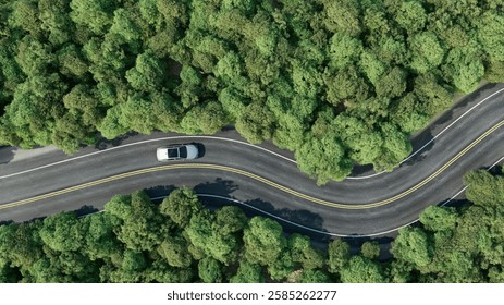 A 3D rendering of a winding road cutting through a dense green forest, with vehicles in motion, captured from an aerial perspective. 3d, rendering, illustration.