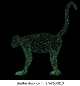3d rendering wireframe polygonal monkey isolated on black