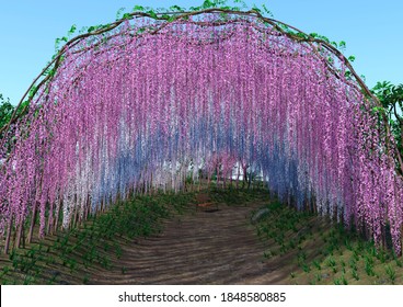 3D Rendering Of A Wisteria Flowers Tunnel