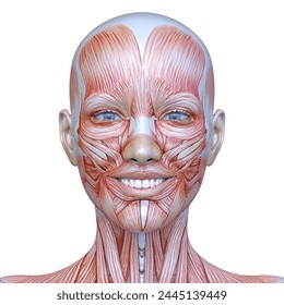 3D rendering of a woman's face close-up