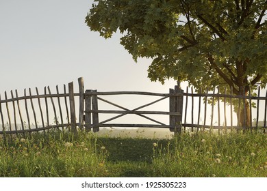 3d rendering of wooden fence and green meadow next to a maple tree