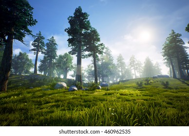 3D Rendering Of A Woodland Forest (prehistoric Hell Creek).