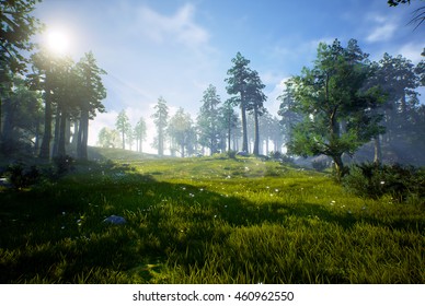 3D Rendering Of A Woodland Forest (prehistoric Hell Creek).