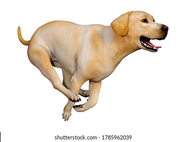 3D Rendering Of A Yellow Labrador Dog Isolated On White Background