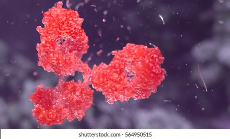 3d Render,medical Illustration.Human Antibody Molecule