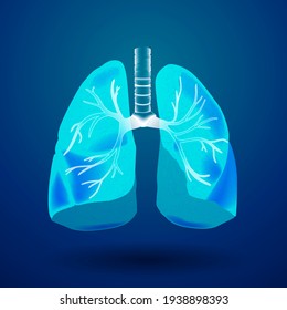 3D Respiratory System, Lungs Medical Graphic In Blue