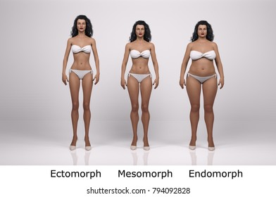 3D standing female model with 3 body types illustration : ectomorph (skinny type), mesomorph (muscular type), endomorph(heavy weight type), Front view