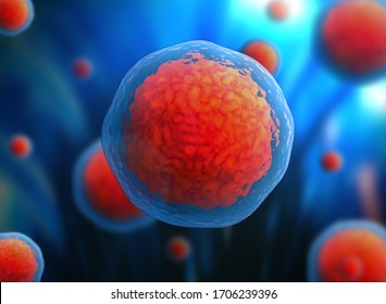 3d Stem Cell. Nucleolus, Nucleus, Nucleus Of The Eukaryotic Cell. Human Body Cell.
