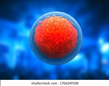 3d Stem Cell. Nucleolus, Nucleus, Nucleus Of The Eukaryotic Cell. Human Body Cell.
